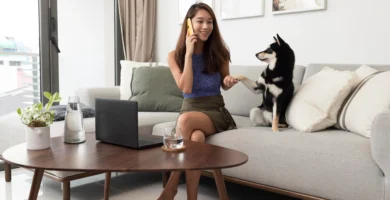 Durabilidad de un Tapizado cuando hay mascotas